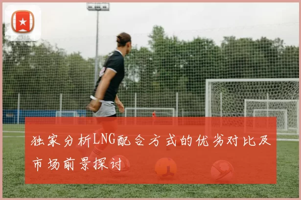 独家分析LNG配合方式的优劣对比及市场前景探讨