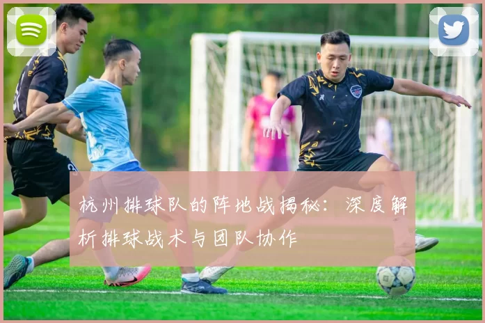 杭州排球队的阵地战揭秘：深度解析排球战术与团队协作