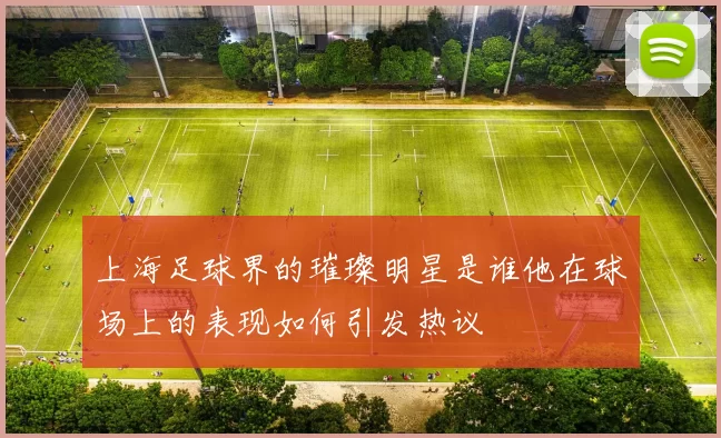 上海足球界的璀璨明星是谁他在球场上的表现如何引发热议