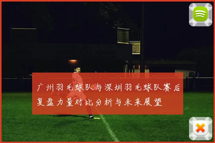 广州羽毛球队与深圳羽毛球队赛后复盘力量对比分析与未来展望