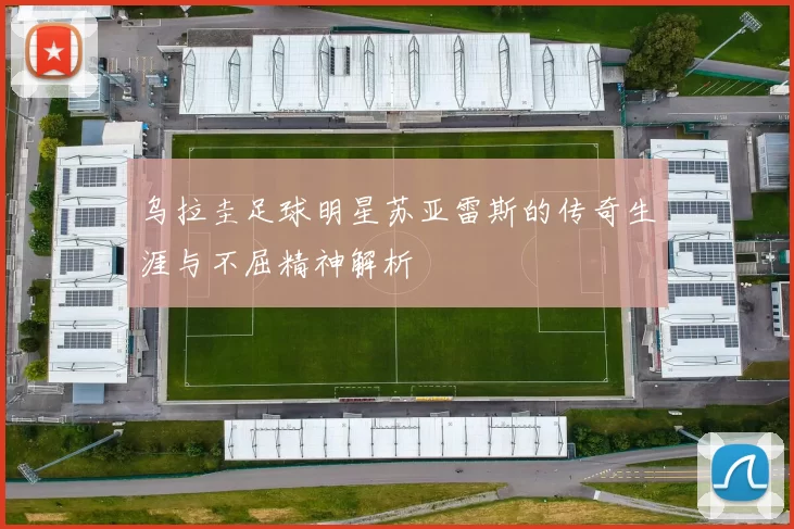 乌拉圭足球明星苏亚雷斯的传奇生涯与不屈精神解析