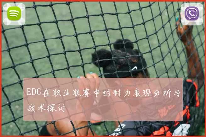EDG在职业联赛中的耐力表现分析与战术探讨