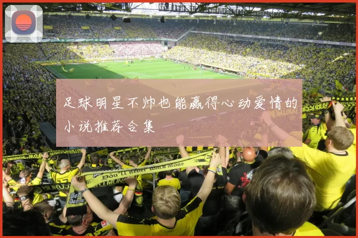 足球明星不帅也能赢得心动爱情的小说推荐合集