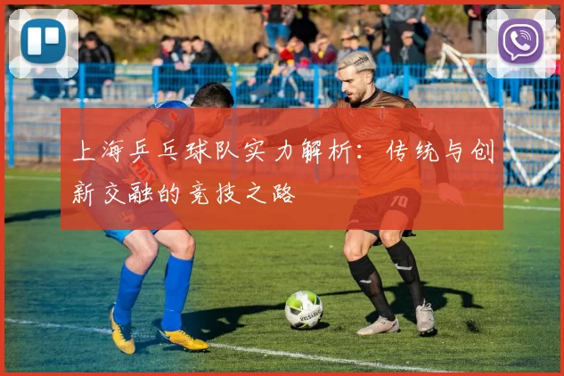 上海乒乓球队实力解析：传统与创新交融的竞技之路