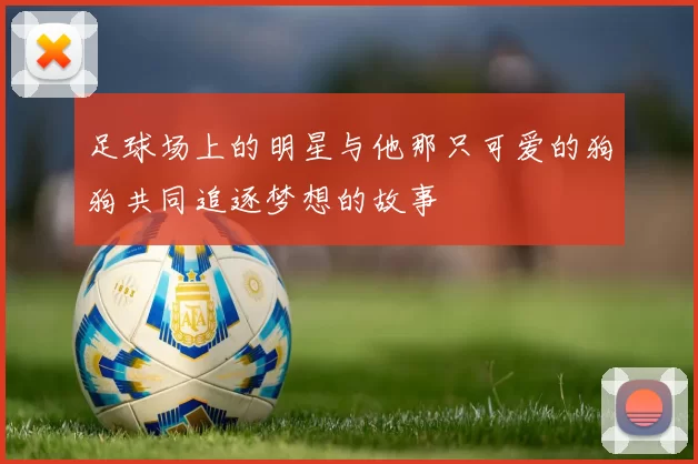 足球场上的明星与他那只可爱的狗狗共同追逐梦想的故事