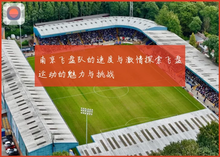 南京飞盘队的速度与激情探索飞盘运动的魅力与挑战