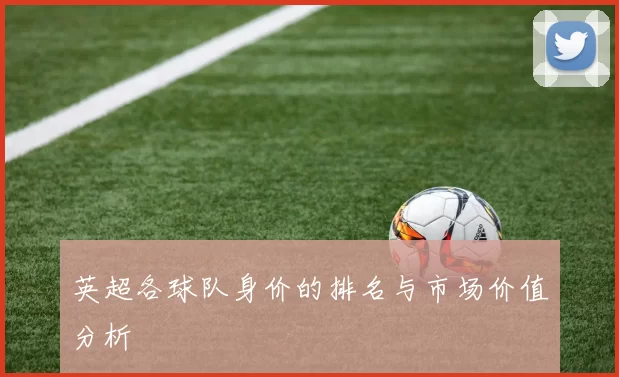 英超各球队身价的排名与市场价值分析