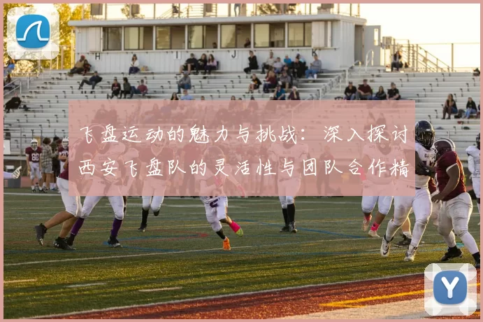 飞盘运动的魅力与挑战：深入探讨西安飞盘队的灵活性与团队合作精神