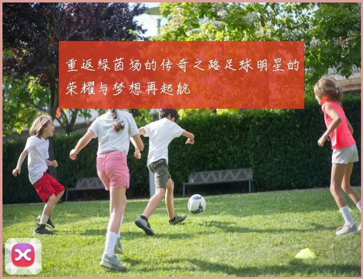 重返绿茵场的传奇之路足球明星的荣耀与梦想再起航
