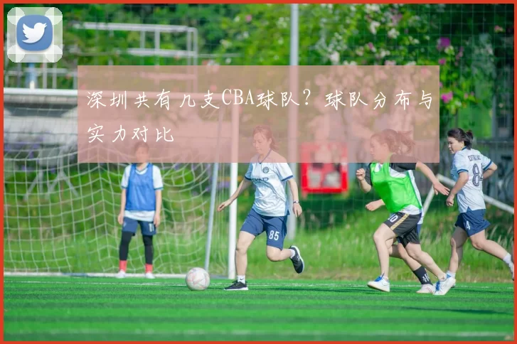 深圳共有几支CBA球队？球队分布与实力对比