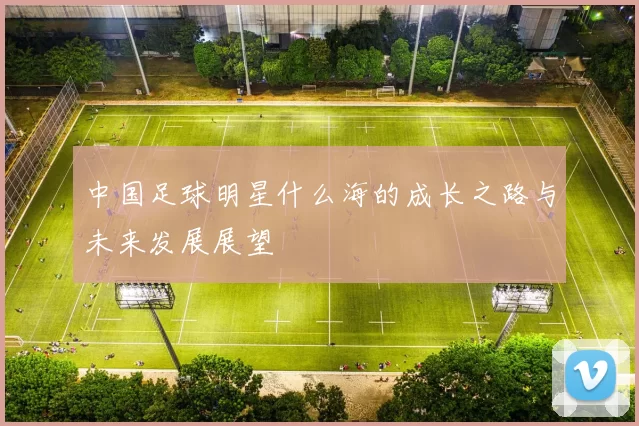 中国足球明星什么海的成长之路与未来发展展望