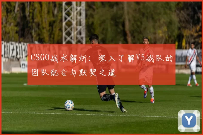 CSGO战术解析：深入了解V5战队的团队配合与默契之道